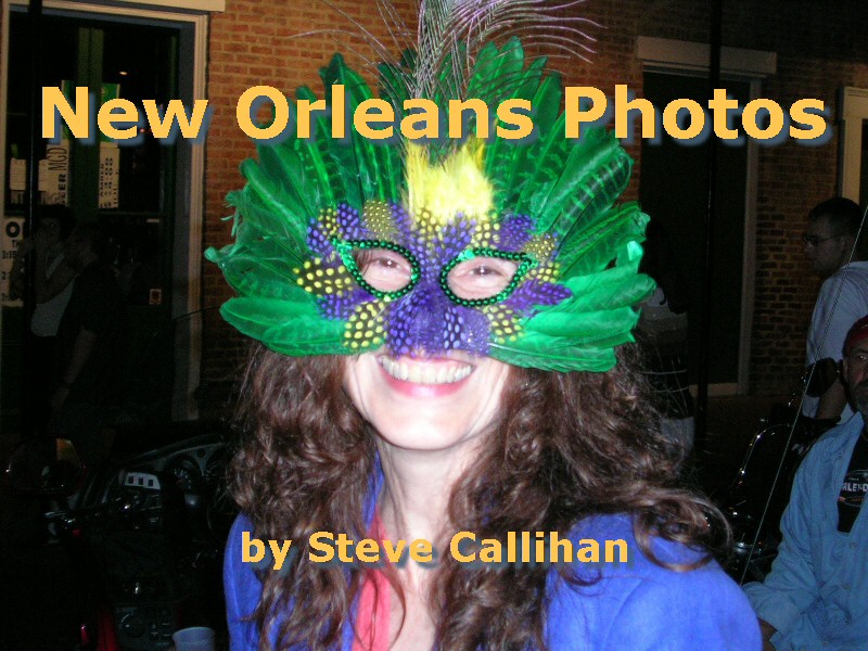 Page 2. Gallery of photographs taken in and around New Orleans, Louisiana, on Halloween weekend in 2004, one year before Katrina - French Quarter, St. Charles Avenue, Mississippi River, Audubon Park, Cajun Swamp Tour, Louisiana Bayous, Oak Alley Plantation